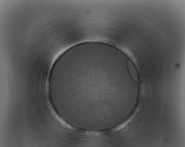 X0000089950928200707061117
