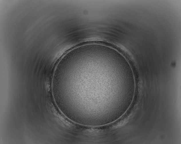 X0000089950929200707061118