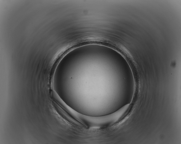 X0000089950930200707061118