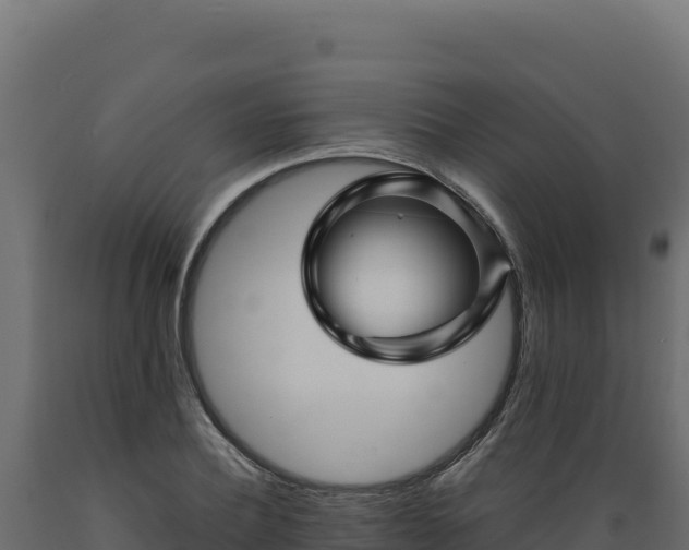 X0000089950932200707061118