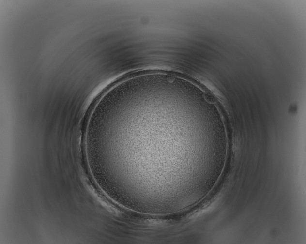 X0000089950933200707061118