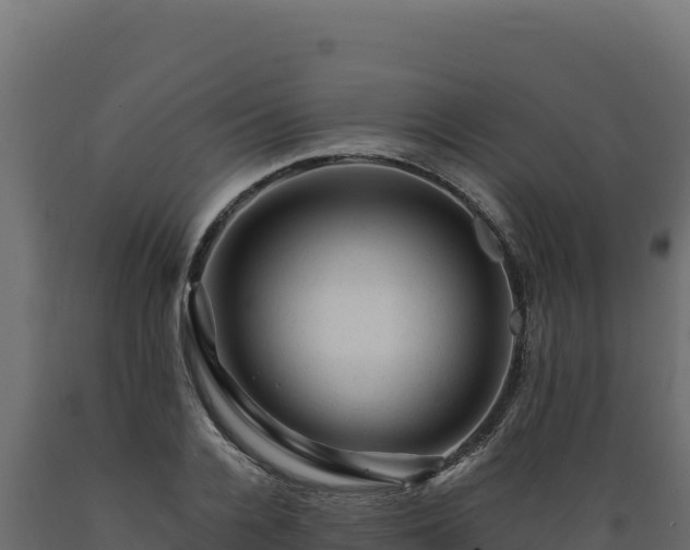 X0000089950936200707061118