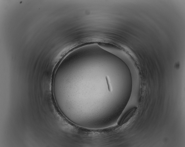 X0000089950938200707061118