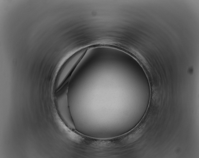 X0000089950939200707061118