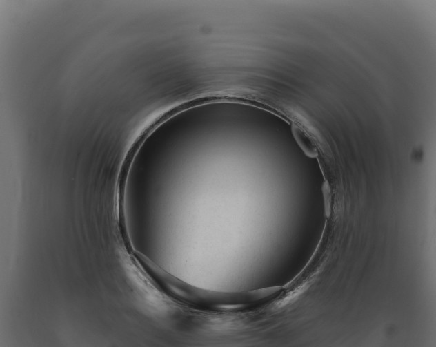 X0000089950940200707061118
