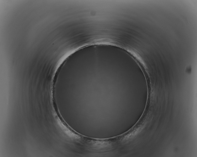 X0000089950941200707061118
