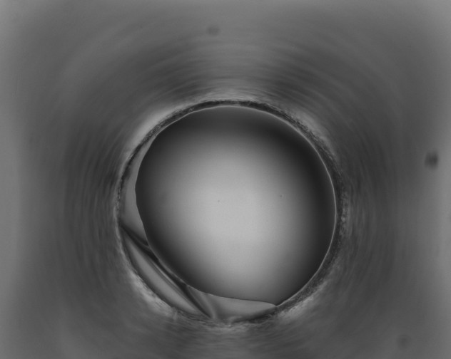 X0000089950942200707061118