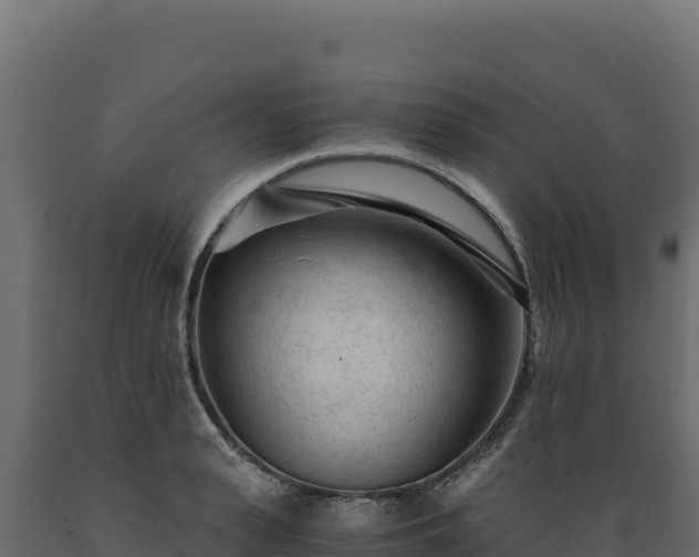 X0000089950943200707061118