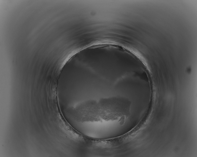 X0000089950945200707061118