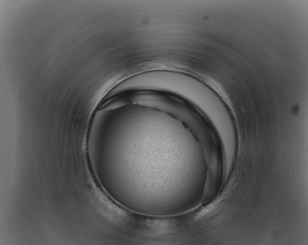 X0000089950946200707061118