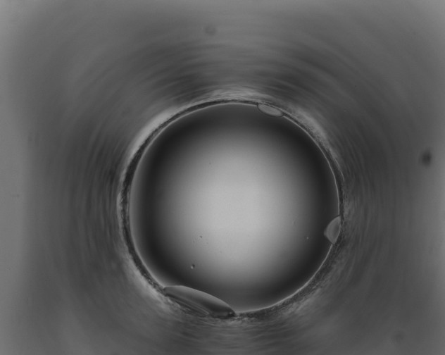 X0000089950947200707061118
