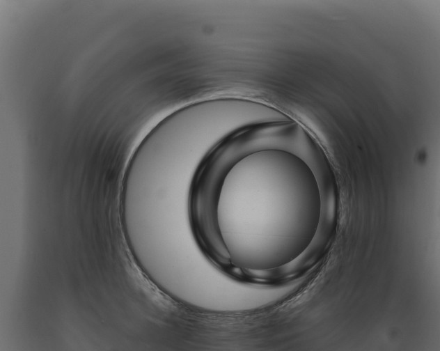 X0000089950948200707061118