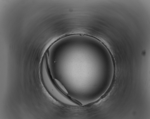 X0000089950949200707061118