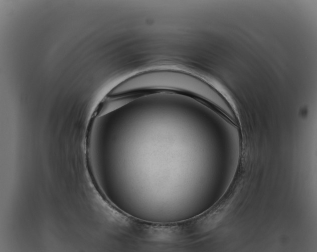 X0000089950951200707061118