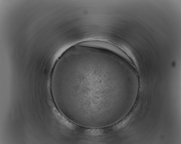X0000089950952200707061118
