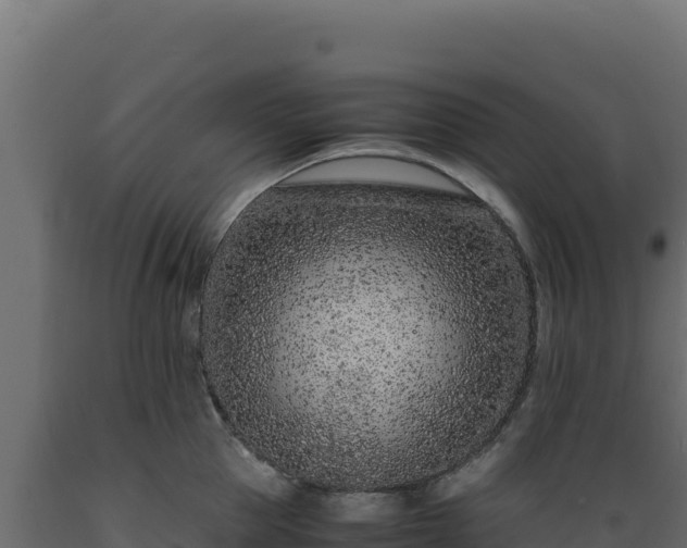 X0000089950953200707061118
