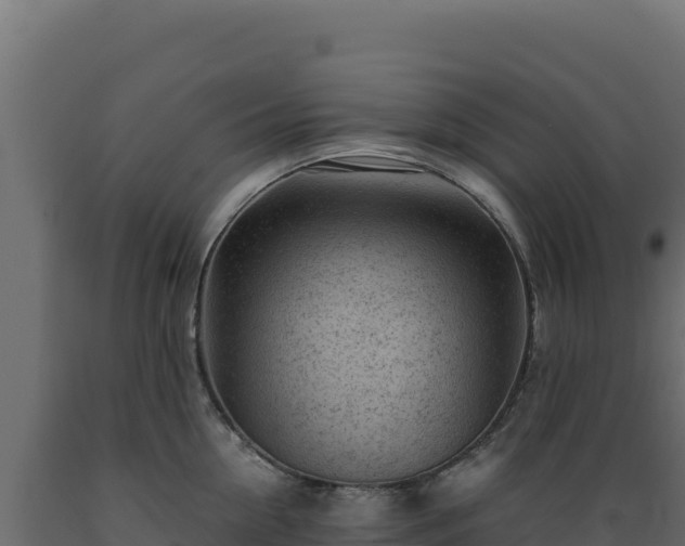 X0000089950954200707061118