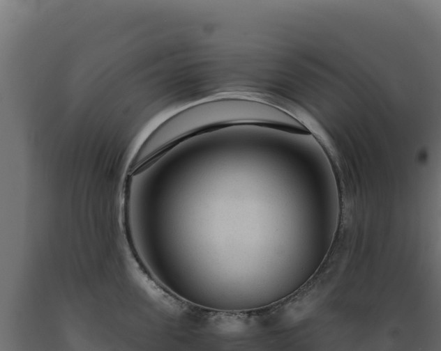 X0000089950955200707061118