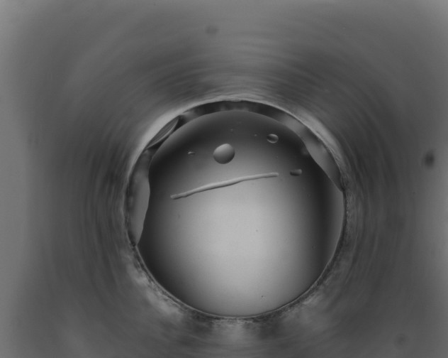 X0000089950956200707061118