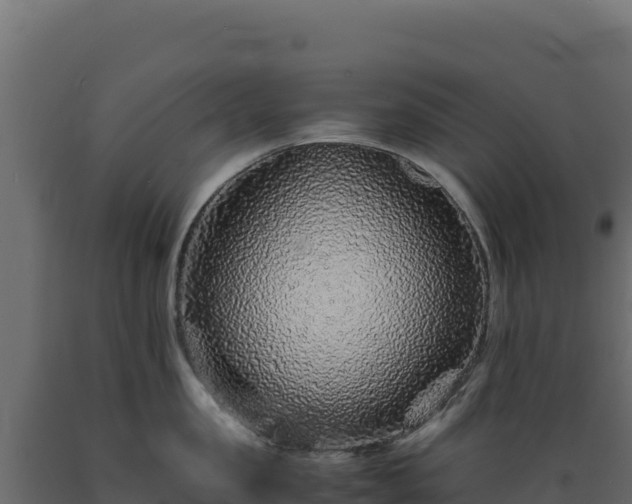 X0000089950957200707061118