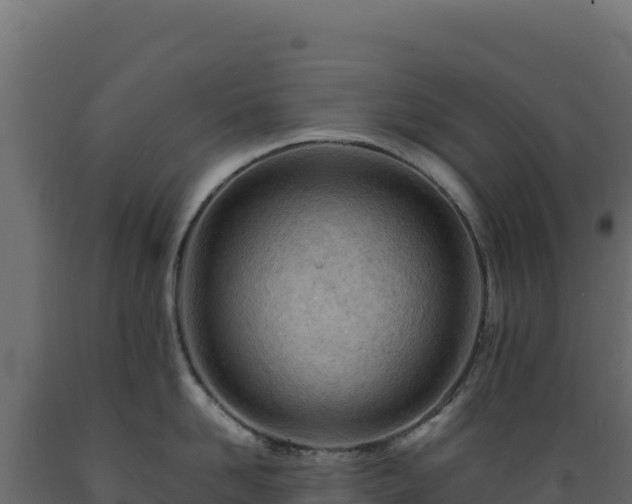 X0000089950958200707061118