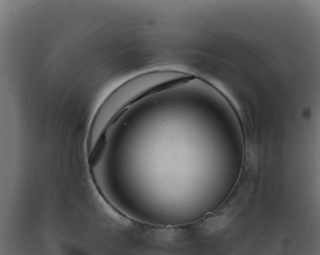 X0000089950959200707061118