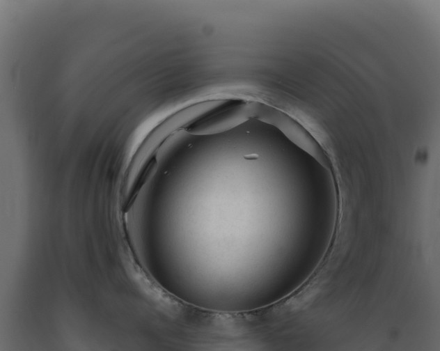 X0000089950960200707061118