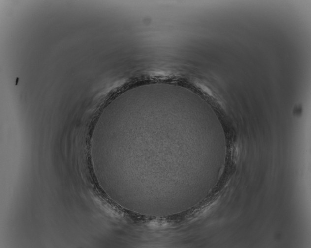 X0000089950961200707061117