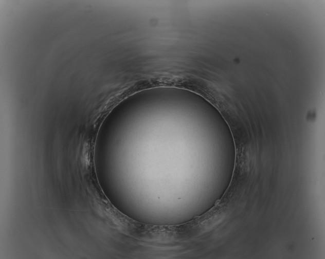X0000089950962200707061117