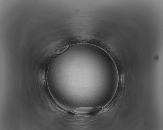 X0000089950963200707061117
