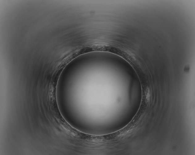 X0000089950964200707061117