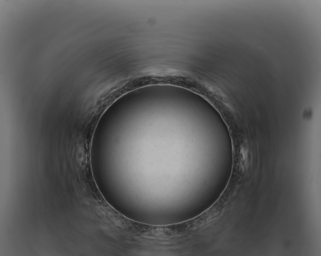 X0000089950966200707061117