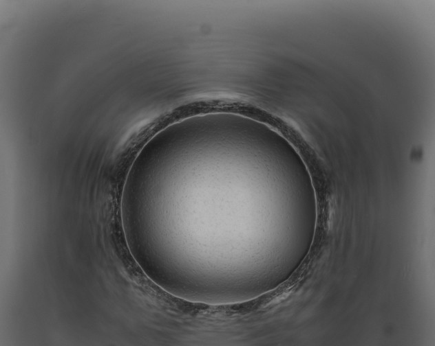 X0000089950967200707061117