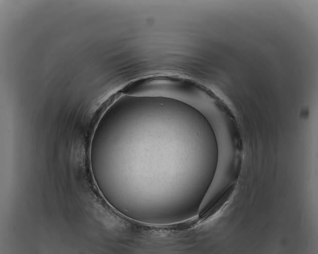 X0000089950969200707061117