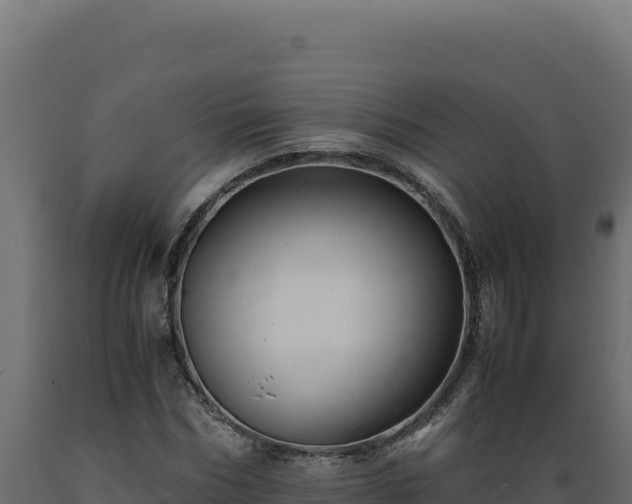 X0000089950970200707061117