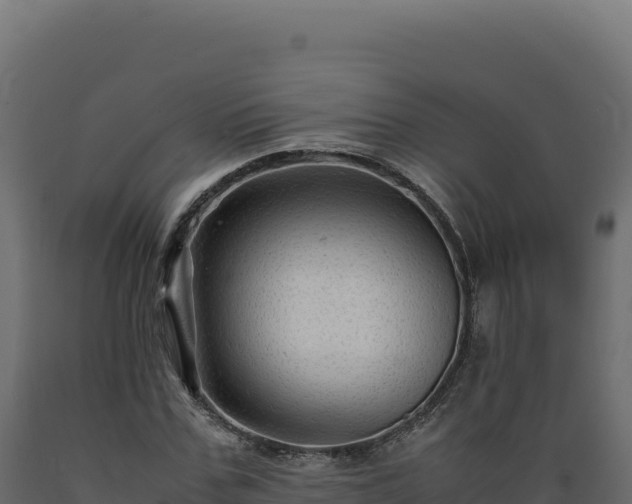 X0000089950971200707061117