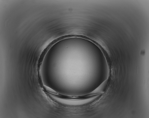 X0000089950972200707061117