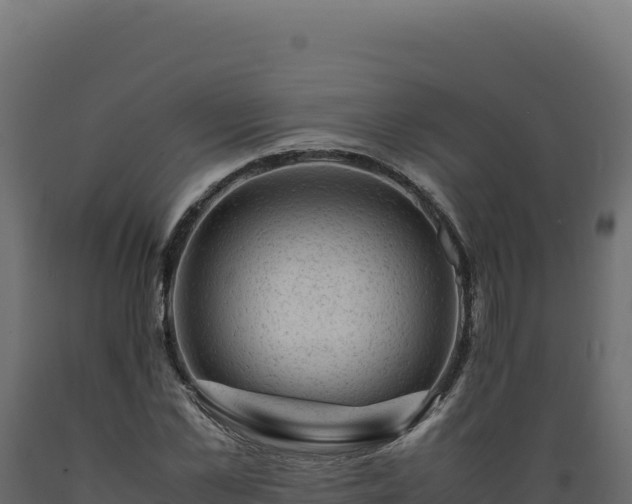 X0000089950973200707061117