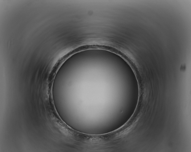 X0000089950974200707061117