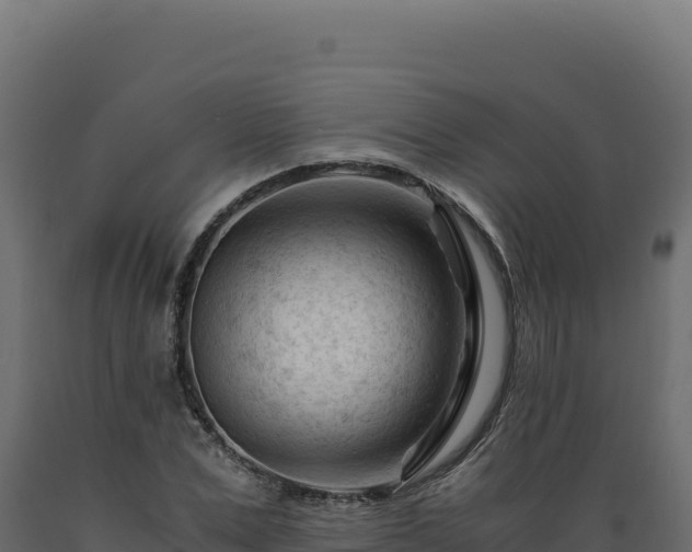 X0000089950975200707061117