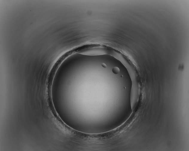 X0000089950976200707061117