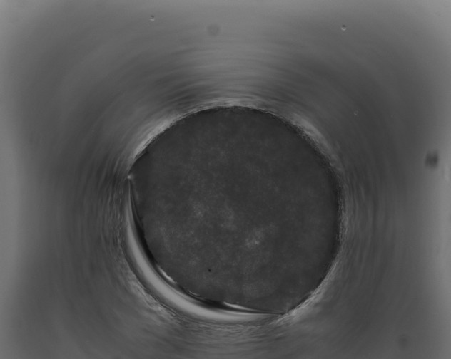 X0000089950977200707061117