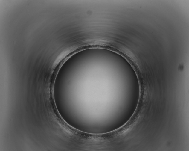 X0000089950978200707061117