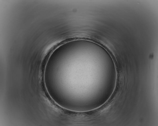 X0000089950979200707061117