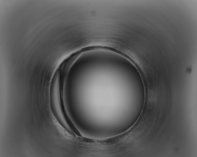 X0000089950980200707061117
