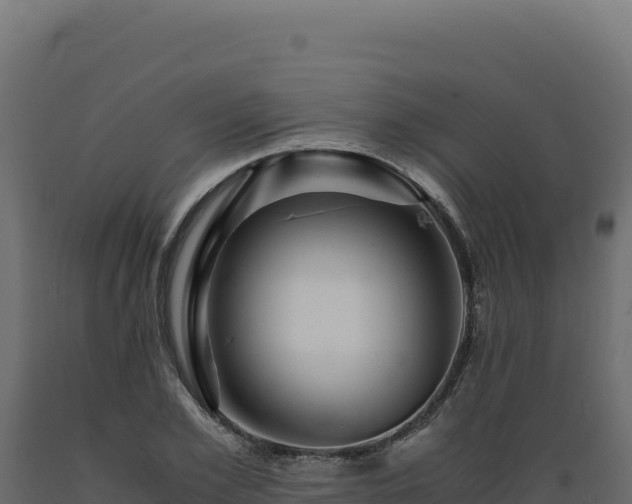 X0000089950981200707061117