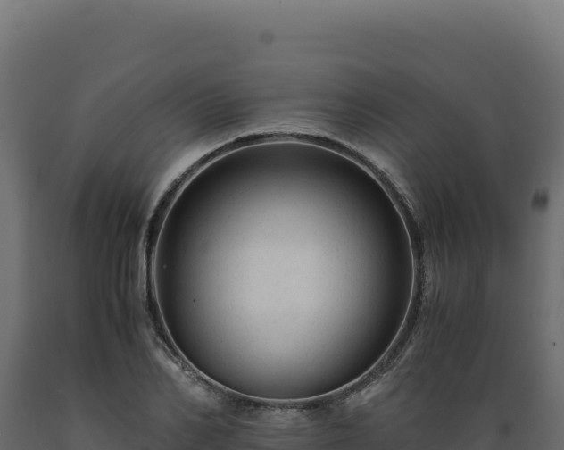 X0000089950982200707061117