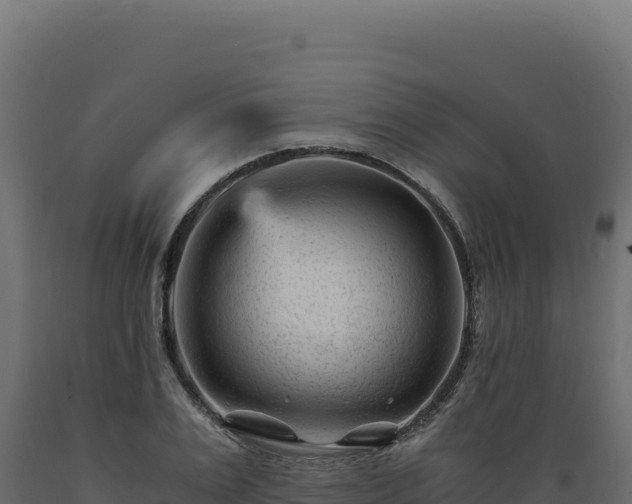 X0000089950983200707061117