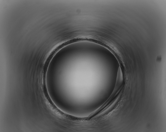 X0000089950984200707061117