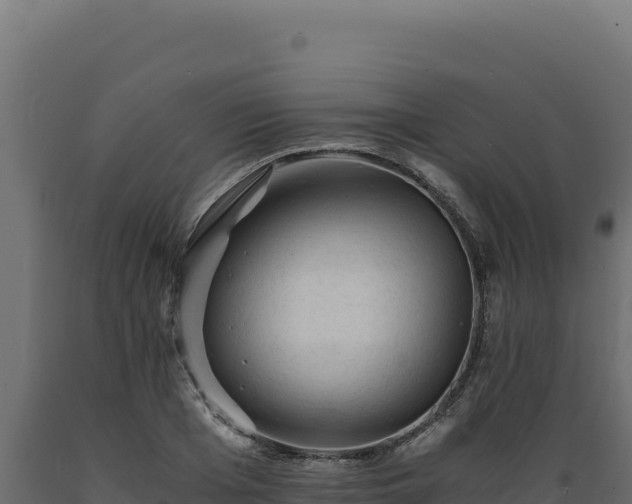 X0000089950985200707061117